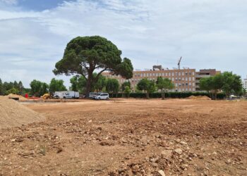Avanzan las obras en El Olivar
