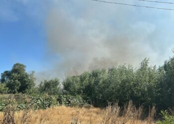 Incendio controlado en el entorno de la ‘Isla del Colegio’