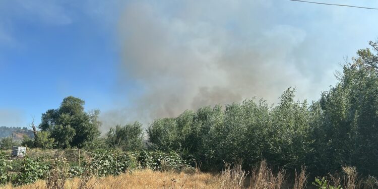 Incendio controlado en el entorno de la ‘Isla del Colegio’