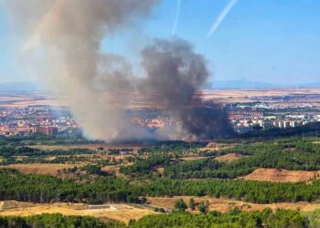 El PSOE de Alcalá reprocha el abandono de las zonas verdes