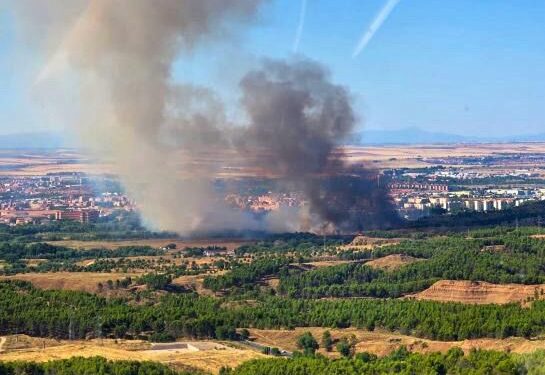 El PSOE de Alcalá reprocha el abandono de las zonas verdes
